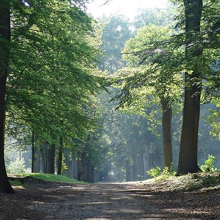 Luxe Safaritent Medley 5 Persoons Op Camping Rijsterbos Kültér fotó
