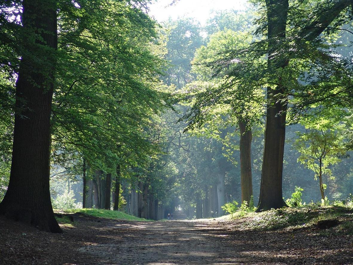 Luxe Safaritent Medley 5 Persoons Op Camping Rijsterbos Kültér fotó